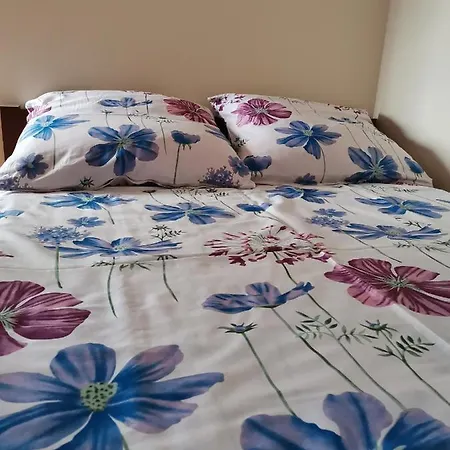 Apartament Fiord Mielno  Zewnętrze zdjęcie