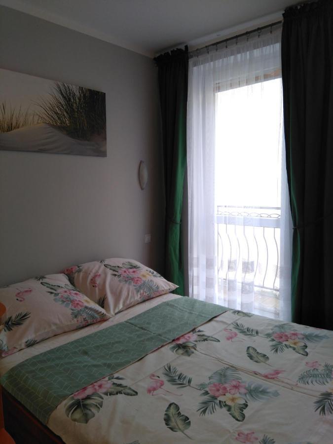 Fiord Homestay *